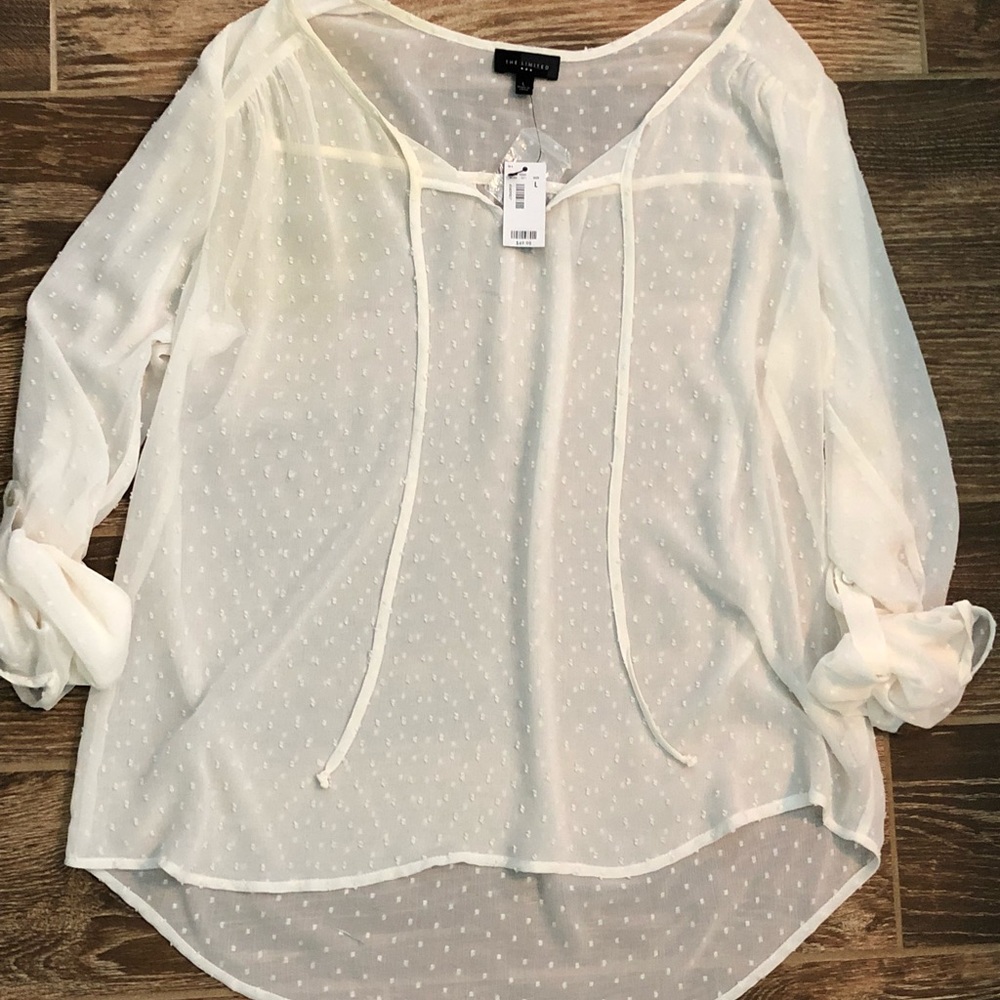 NWT Sheer Tunic, The Limited, Size L